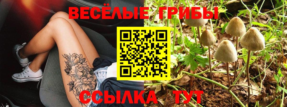 Галлюциногенные грибы мухоморы Михайловск