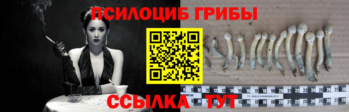 Михайловск  Галлюциногенные грибы мухоморы  Галлюциногенные грибы Psilocybe  где продают наркотики  Вход с VPN 
